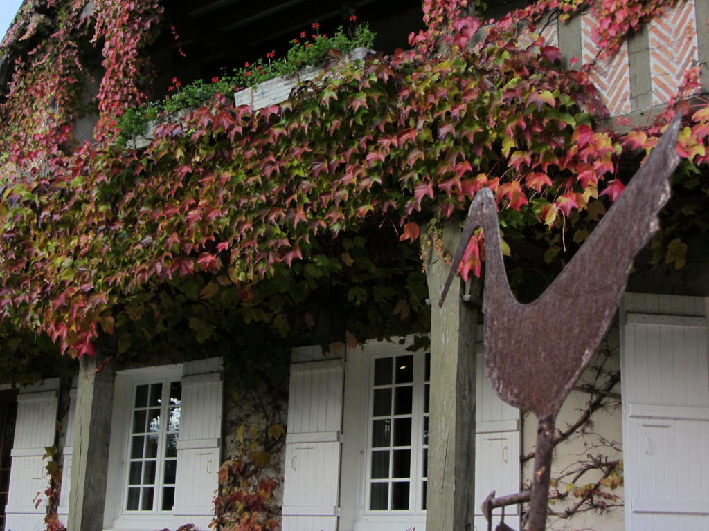 Cerdon  Les Vieux Guays B&B 외부 사진